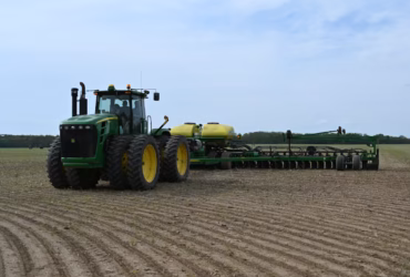 Agriculture 3